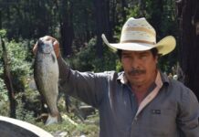 Productores piscícolas en Morelia se preparan para la cuaresma