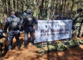 Localizan e inhabilitan campamento clandestino en Queréndaro