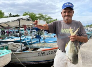 Renovación de tarjetas para el programa Bienpesca será del 9 al 22 de marzo