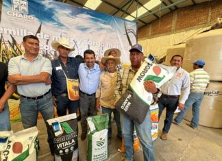 Charo fortalece el campo con entrega de semilla mejorada y apoyos directos