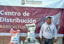 Inicia entrega gratuita de Fertilizantes para el Bienestar en Michoacán y otros estados del país
