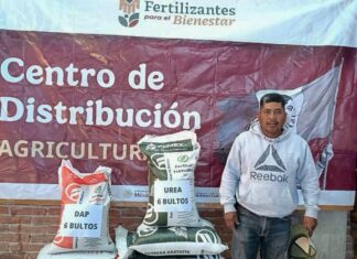 Inicia entrega gratuita de Fertilizantes para el Bienestar en Michoacán y otros estados del país