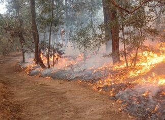 Incendio en San José del Rincón, Zinapécuaro, ha dañado 76 hectáreas