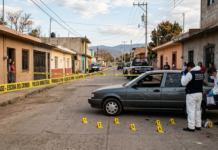 Silencio en las Aulas: Cuando la omisión se convierte en masacre