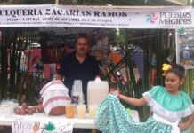 Los Zacarías mantienen viva la herencia prehispánica del pulque cocido en Cuitzeo