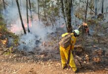 Incendio en Área Natural Protegida de Tzitzio, controlado al 100 %