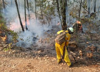 Incendio en Área Natural Protegida de Tzitzio, controlado al 100 %