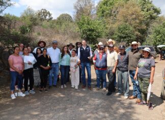 Alfonso Martínez rehabilita camino rural en Capula