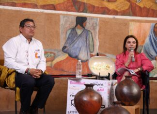 Sin educación cívica no hay democracia sólida: Carla Humphrey