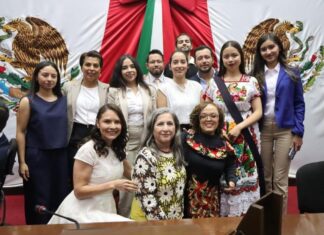 Desde garantías en movilidad hasta enseñanza gratuita en lenguaje de señas, propuestas del Parlamento con Perspectiva de Discapacidad