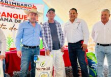 Nueva entrega de semilla punta de riego en Tarímbaro