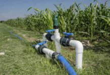 Amplía Gobierno de México al 29 de mayo el plazo para inscribirse al Programa Especial de Energía para el Campo (PEUA)