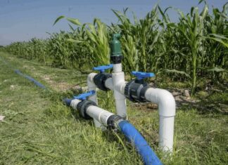 Amplía Gobierno de México al 29 de mayo el plazo para inscribirse al Programa Especial de Energía para el Campo (PEUA)