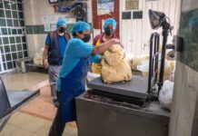 Acuerdo Nacional Maíz-Tortilla suma 186 centros de distribución de grano, para acercar el insumo a las tortillerías adheridas