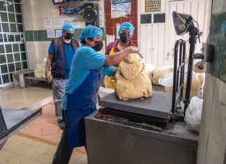 Acuerdo Nacional Maíz-Tortilla suma 186 centros de distribución de grano, para acercar el insumo a las tortillerías adheridas