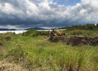 Conagua Michoacán realiza labores de limpieza en distritos de riego de la entidad