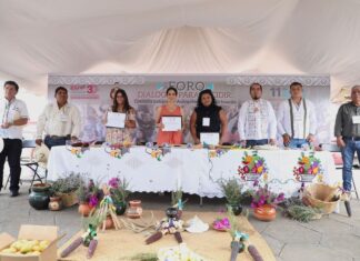 IEM y Consejo Supremo Indígena impulsan diálogo sobre autogobierno en Michoacán