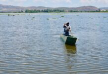 Compesca rehabilitará la presa Malpaís, de Queréndaro, y sembrará 50 mil crías para potenciar la pesca