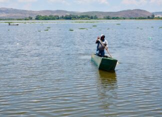 Compesca rehabilitará la presa Malpaís, de Queréndaro, y sembrará 50 mil crías para potenciar la pesca