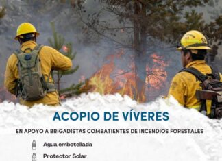 Gobierno de Morelia convoca a donar víveres para brigadistas forestales