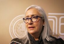 Impulsa Emma Rivera reforma para hacer obligatorias rampas de frenado en carreteras así como revisión a transporte de carga