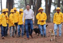 Alfonso Martínez activa brigadas rurales contra los incendios forestales