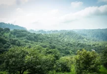 Crean certificado laboral para agroexportación