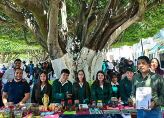 UMSNH acerca la ciencia a los municipios a través de las Ferias Científicas; Huandacareo y Lagunillas viven el conocimiento
