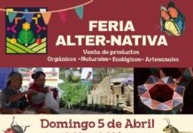 Urandén florece con la “Feria Alter-Nativa”: cultura, comunidad y esperanza en la ribera de Pátzcuaro