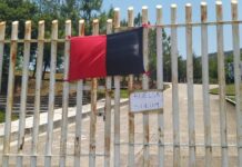 Rectoría de la UMSNH acata resolución judicial y reactiva clases en línea tras cierre de instalaciones