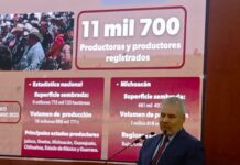 Bedolla reporta apoyo integral a 88 mil productores en Michoacán