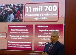 Bedolla reporta apoyo integral a 88 mil productores en Michoacán