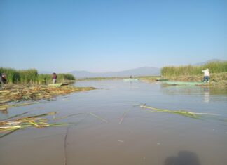 El lago de Pátzcuaro recobra vida; en 2026 se han descubierto 18 manantiales