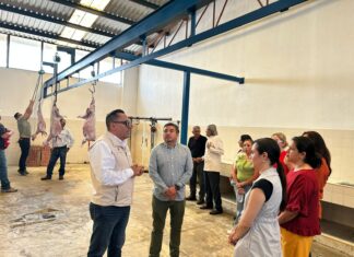 Modernizan Rastro Municipal de Indaparapeo