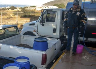 Leche para el Bienestar suspende y reduce compra de leche fresca en el Valle Morelia-Queréndaro