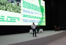 APEAM avanza en su ruta hacia la sostenibilidad; 650 mil plantas para conservar los bosques en Michoacán y Jalisco