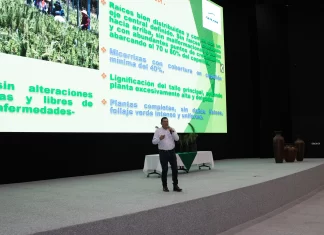 APEAM avanza en su ruta hacia la sostenibilidad; 650 mil plantas para conservar los bosques en Michoacán y Jalisco