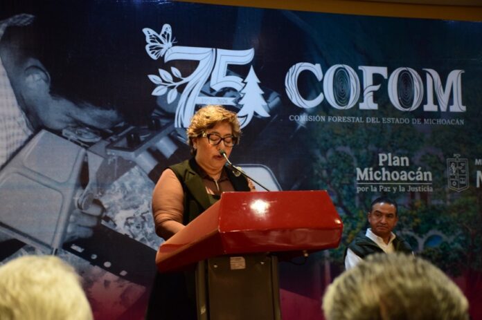 COFOM (4)