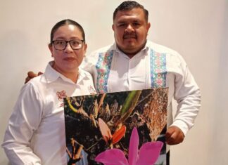 Penjamillo alista su histórica Fiesta del Pino y la Flor 2026
