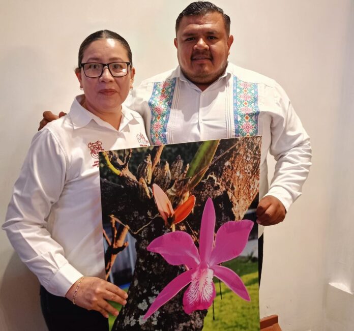Pino y Flor Penjamillo5