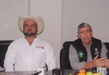 Sementales de registro de alta gama genética en la Expo Ganadera Michoacán 2026, en Charo