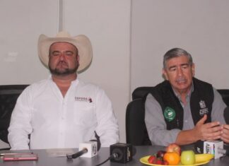 Sementales de registro de alta gama genética en la Expo Ganadera Michoacán 2026, en Charo
