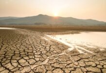 Provocará El Niño elevadas temperaturas y sequías severas en México, sobre todo en las regiones Norte, Noreste y Noroeste