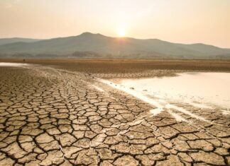Provocará El Niño elevadas temperaturas y sequías severas en México, sobre todo en las regiones Norte, Noreste y Noroeste