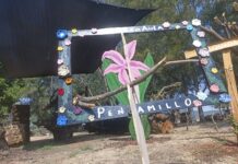 Penjamillo contará con Unidad de Conservación para la emblemática “Flor de Mayo”