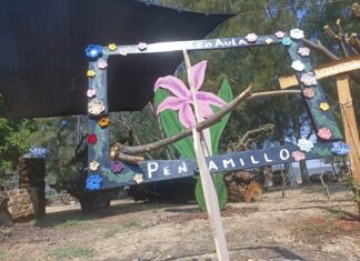 Penjamillo contará con Unidad de Conservación para la emblemática “Flor de Mayo”