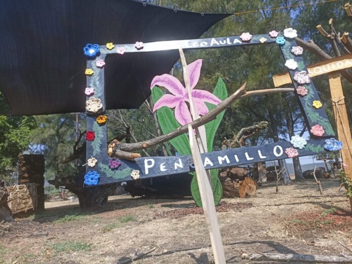UMA PENJAMILLO5