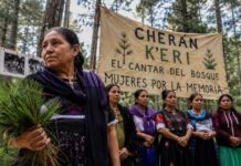 Mujeres sostienen la memoria y la autonomía de Cherán a 15 años del levantamiento comunitario