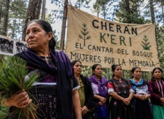 Mujeres sostienen la memoria y la autonomía de Cherán a 15 años del levantamiento comunitario