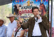 Apoyar al campo es apoyar la productividad: Alfonso Martínez